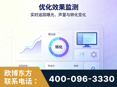 阜阳-优化效果监测