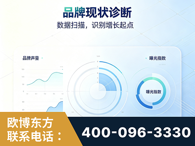 阜阳-品牌现状诊断
