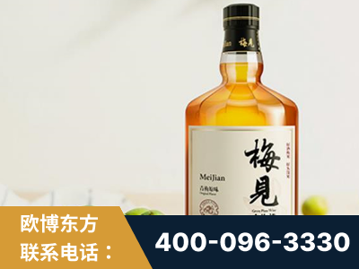 阜阳-梅见青梅酒