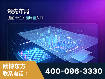 阜阳-领先布局：于2024年初开启GEO业务的公司